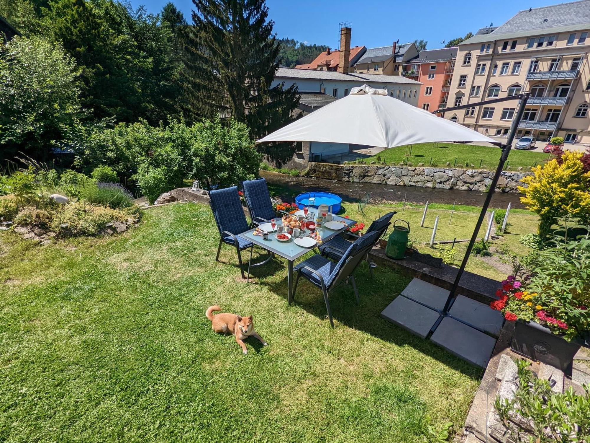 Uo - Urlaubsmagie - Helle Wohnung,Sauna,Whirlpool Sebnitz Exteriér fotografie
