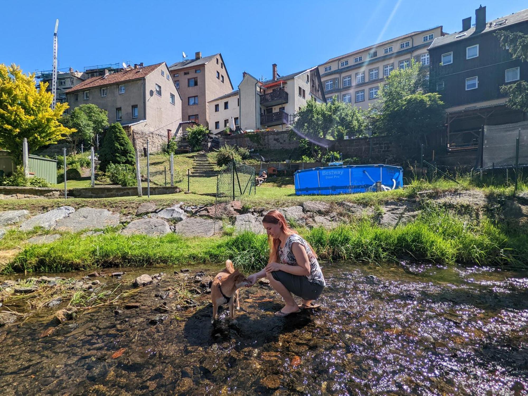 Uo - Urlaubsmagie - Helle Wohnung,Sauna,Whirlpool Sebnitz Exteriér fotografie