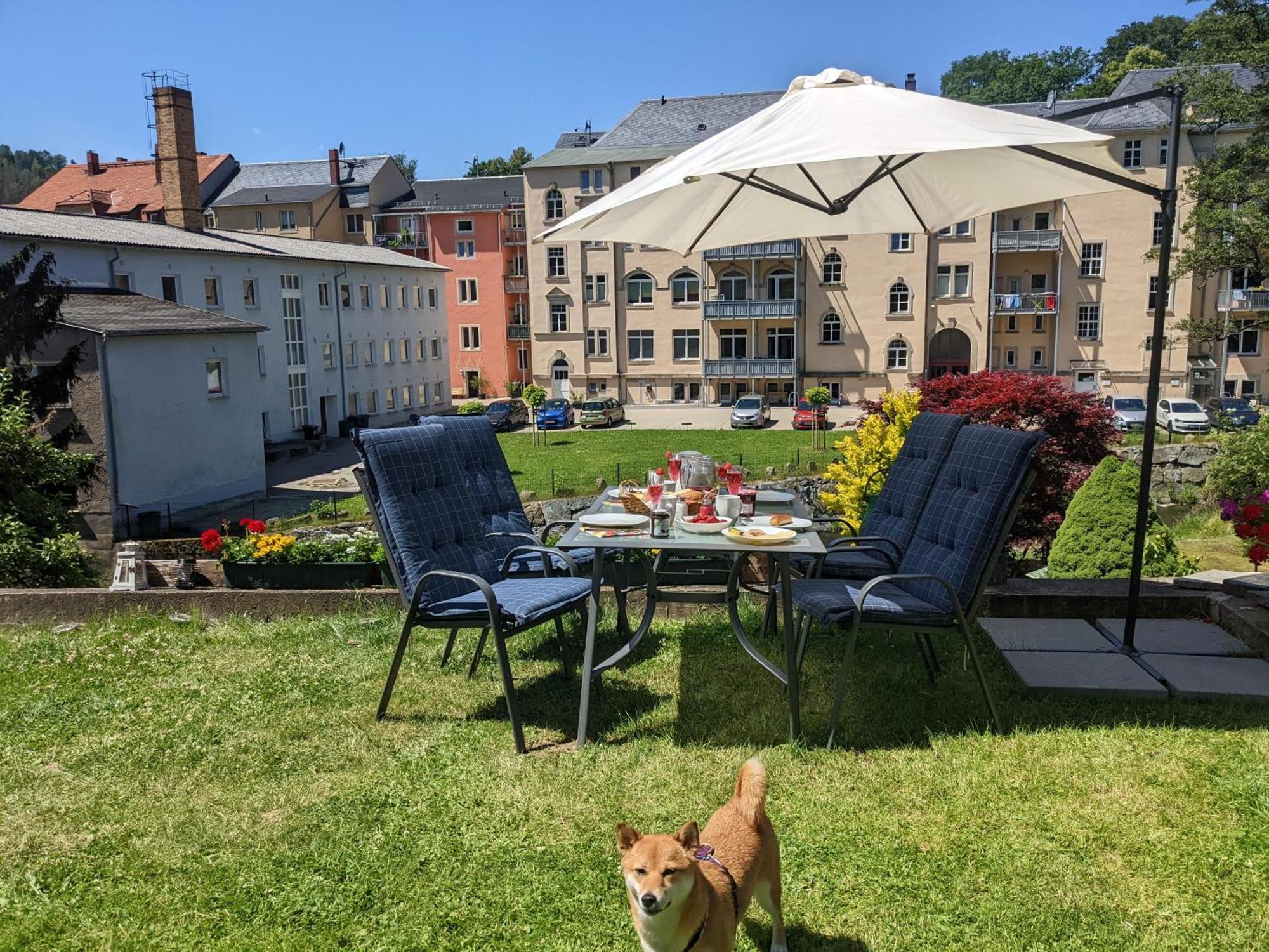 Uo - Urlaubsmagie - Helle Wohnung,Sauna,Whirlpool Sebnitz Exteriér fotografie